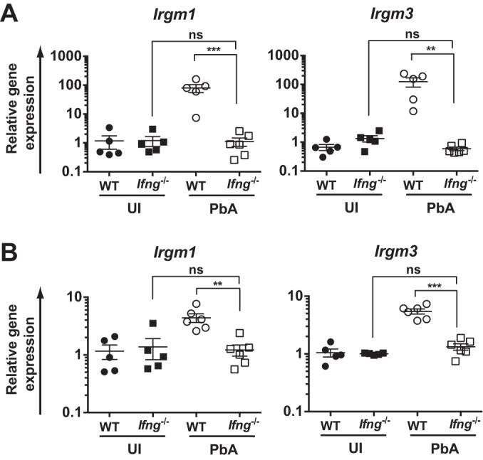 FIG 1