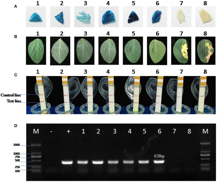 Figure 10