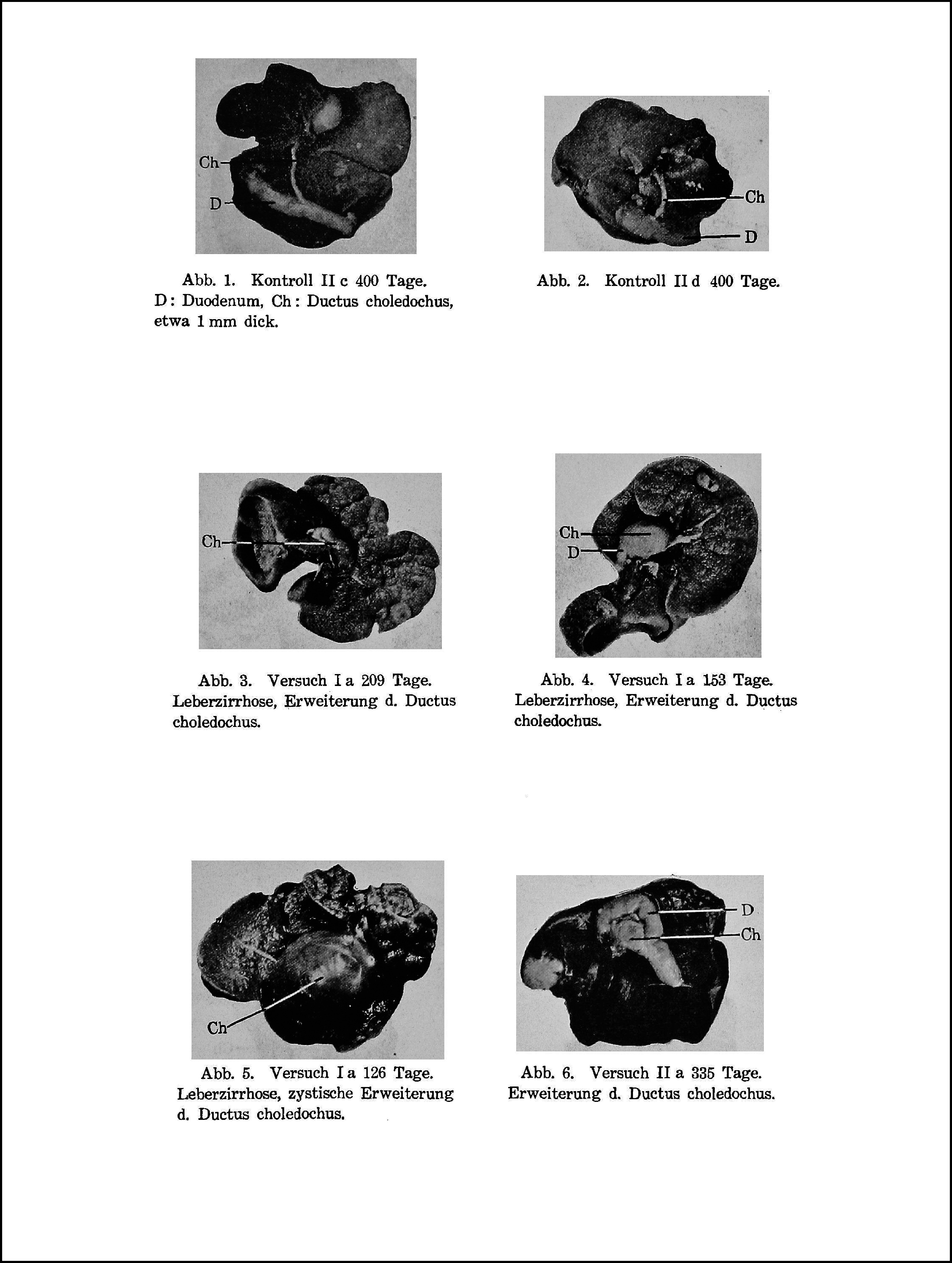 graphic file with name pjab-100-558-g020.jpg