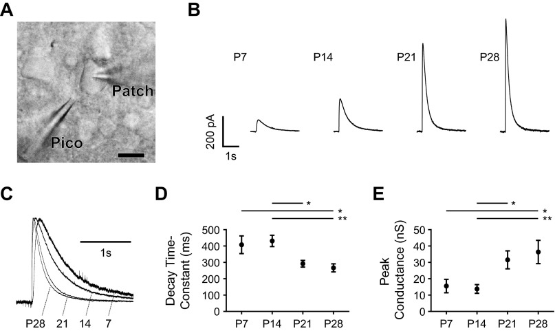 Fig. 4.