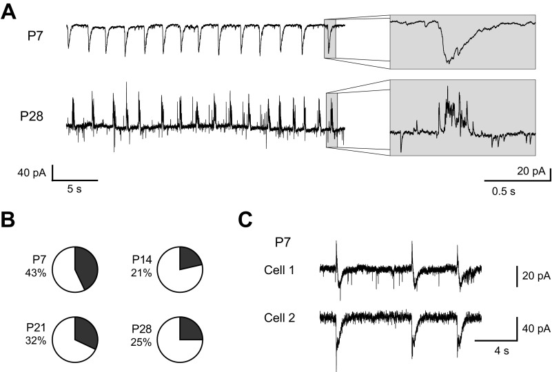 Fig. 8.