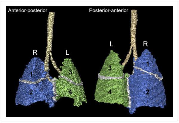 FIGURE 2