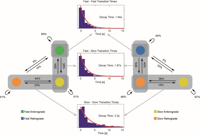 Figure 2—figure supplement 2.