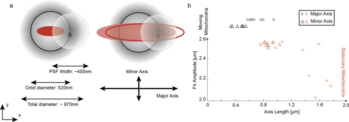 Figure 1—figure supplement 3.