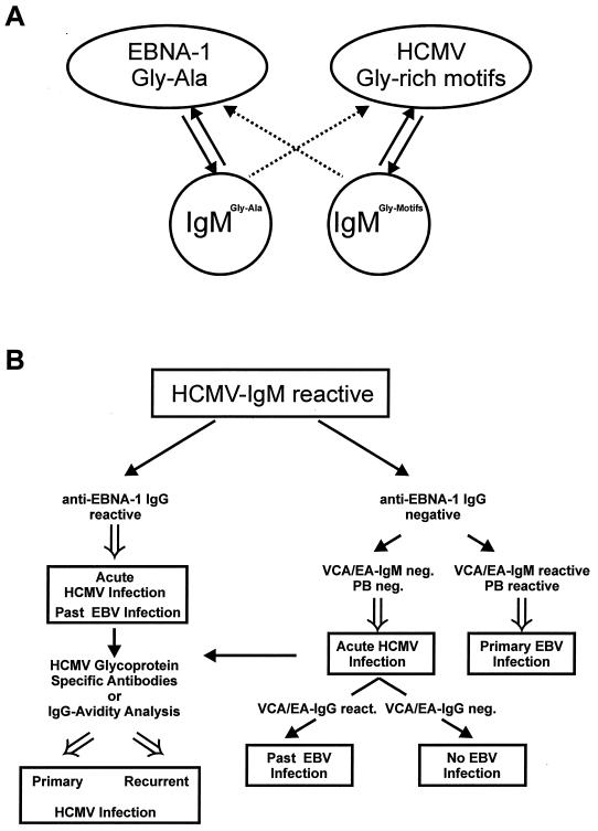 FIG. 6