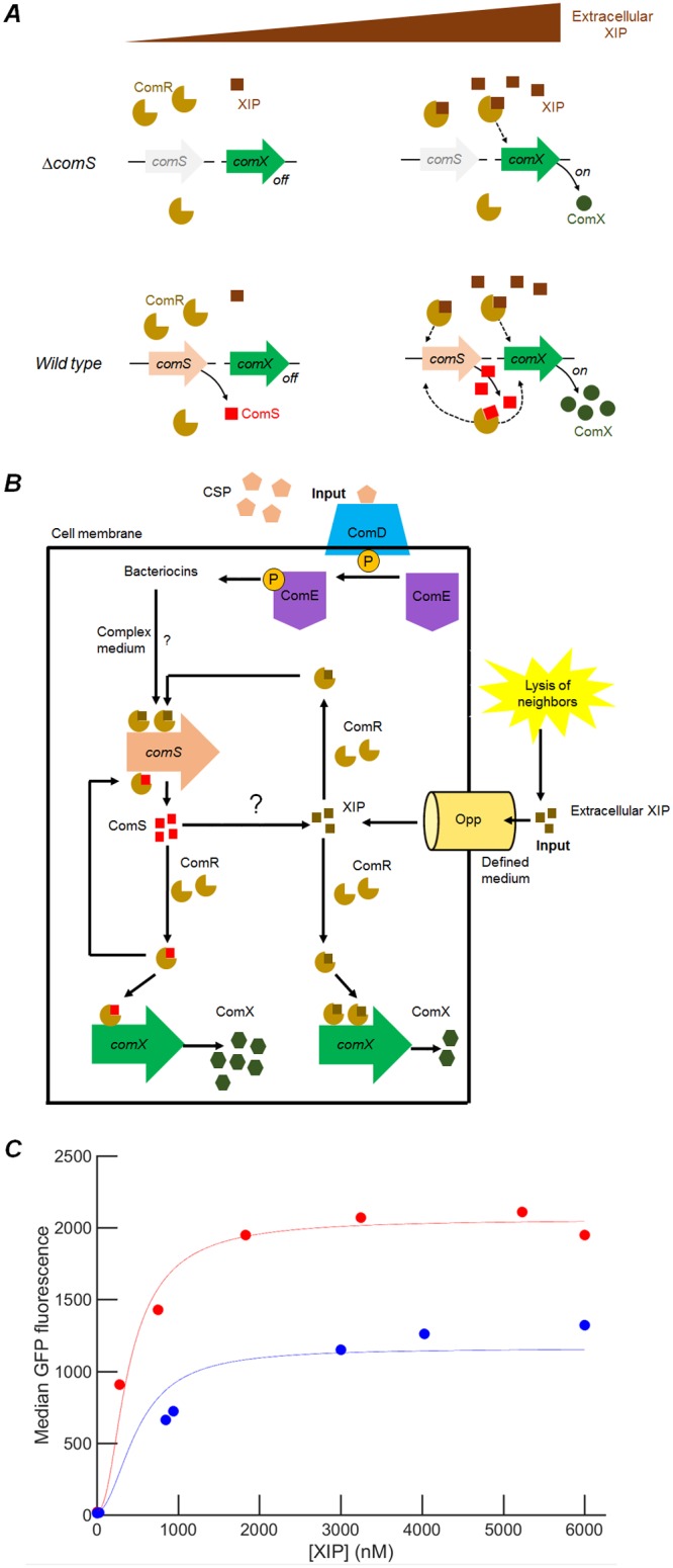 FIG 7