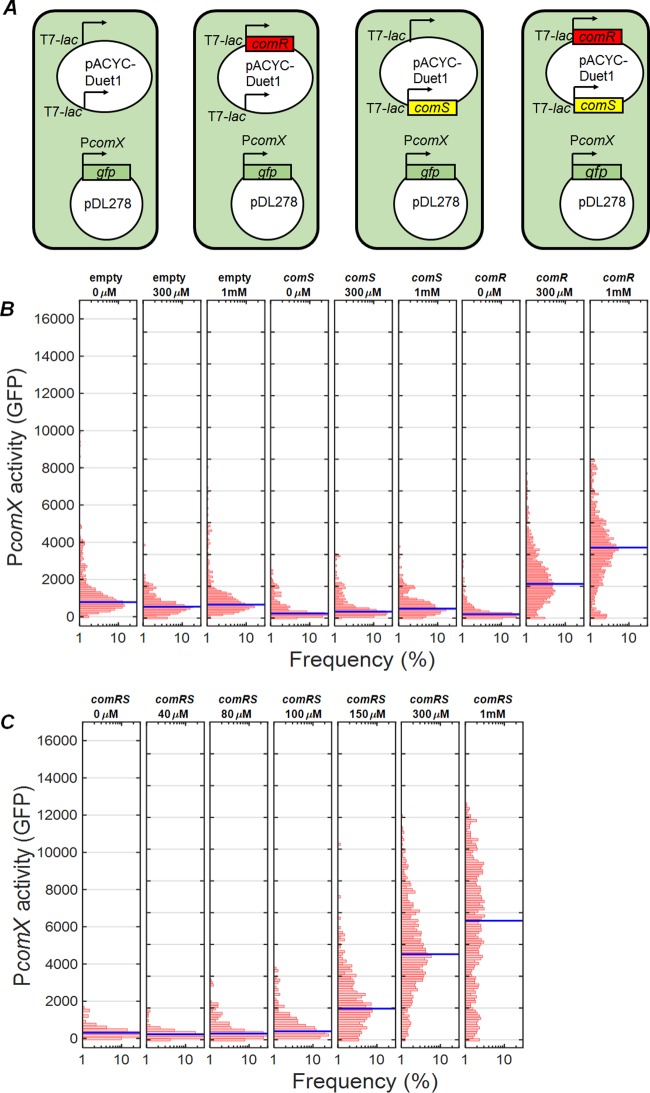 FIG 6