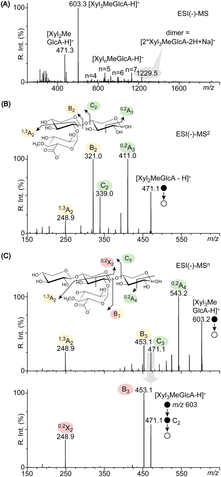 FIG 6