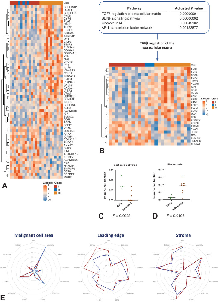 Figure 3. Differences in the TME between early- and advanced-stage CCOC. A, Differentially expressed matrisome genes between early- and advanced-stage CCOC were determined for the AOCS data set (P ≤ 0.05). Heat map shows row z-scores of normalized gene expression. Genes (rows) are clustered with euclidean distance and the complete clustering method. Samples (columns) are annotated according to FIGO stage; FIGO stage I shown in red; FIGO II sown in blue; FIGO III shown in gold. B, Significantly enriched pathways in early- versus advanced-stage CCOC were determined for the AOCS data set. Top: ranking of the significantly enriched pathways in early- versus advanced-stage CCOC (Padj < 0.05 and combined score > 50). C and D, CIBERSORT analysis from early-stage (n = 4) and advanced-stage (n = 9) CCOC from the AOCS and GSE44104 (9) data sets (ACOS data set: 3 early-stage, 4 advanced-stage; GSE44104 data set: 1 early-stage, 5 were advanced-stage). Error bars indicate median. C, Activated mast cells (P = 0.0028). D, Plasma cells (P = 0.00196). ACOS data: triangles; GSE44104: circles. Error bars indicate median. E, Radar chart of TWOMBLI and Haralick analysis features across the MCA, LE, and stroma of early- and advanced-stage CCOC. Collagen was identified in FFPE samples using Masson's trichrome and quantified using TWOMBLI and Haralick features, with results normalized to allow comparison among the three ROI. Red: advanced-stage CCOC; blue: early-stage CCOC.