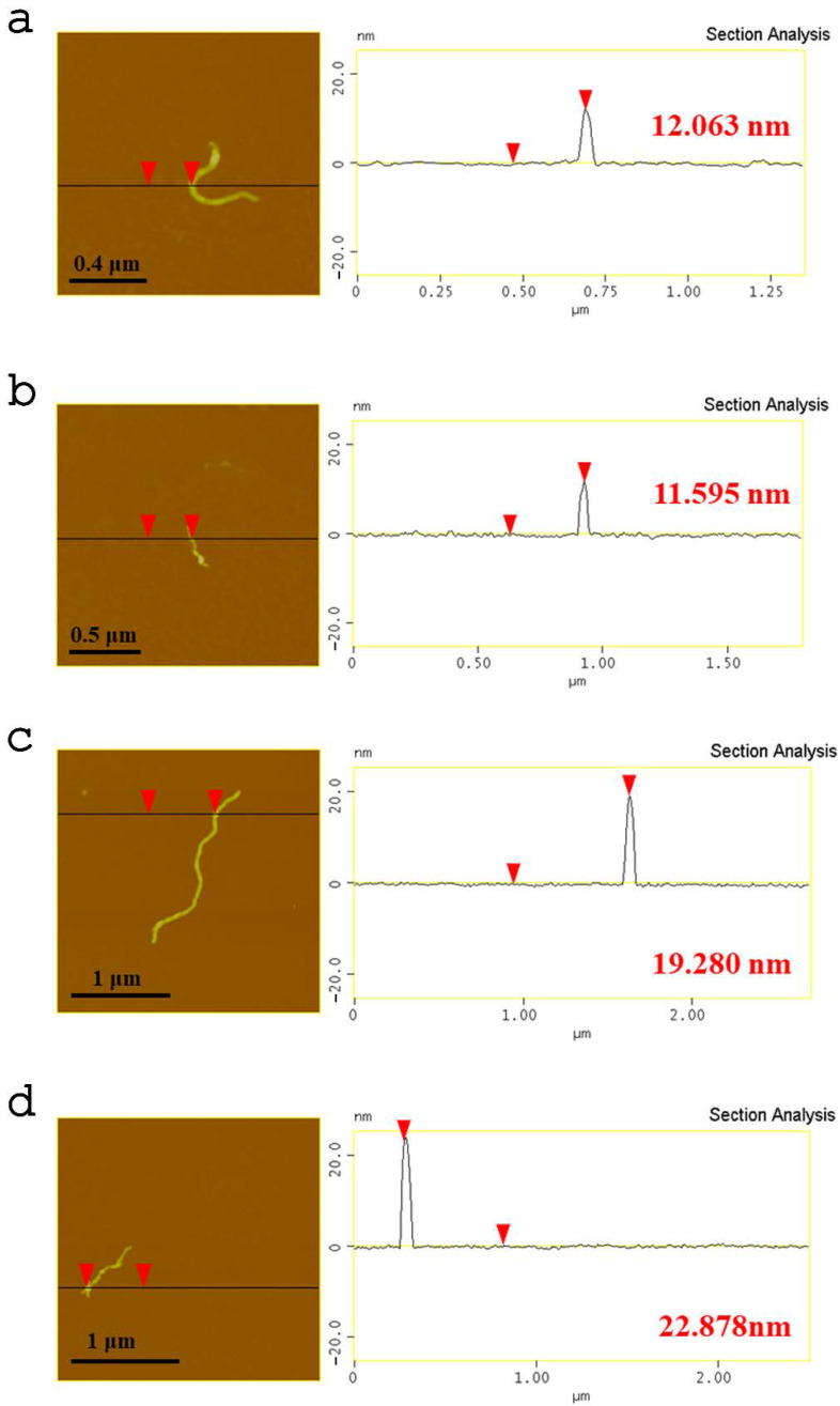 Figure 7