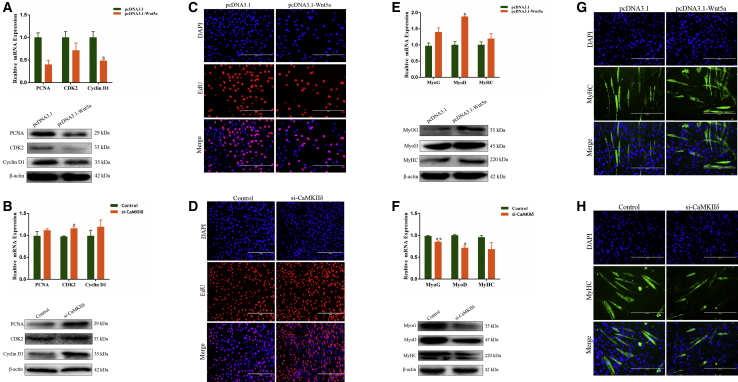 Figure 4