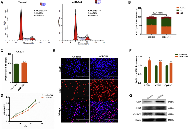 Figure 2