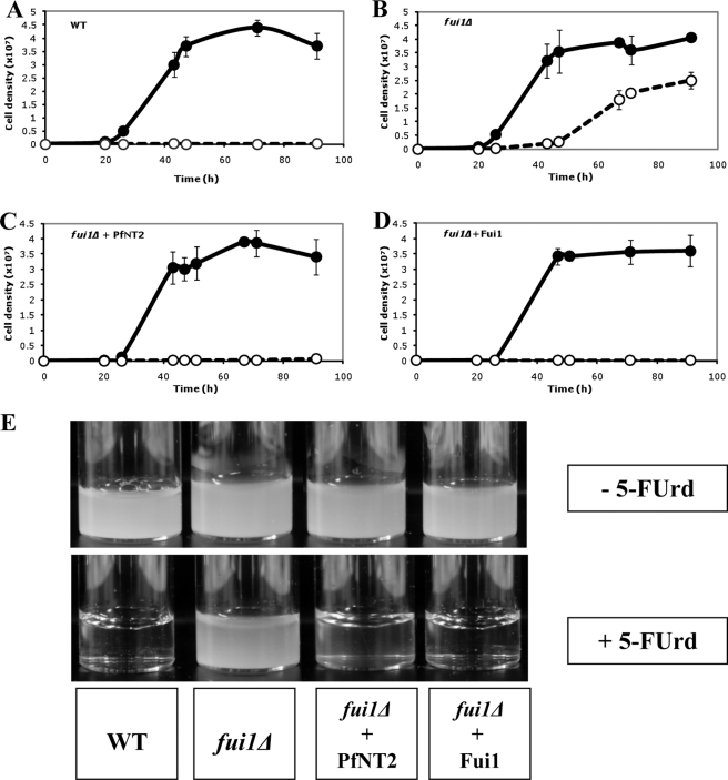 FIGURE 6.