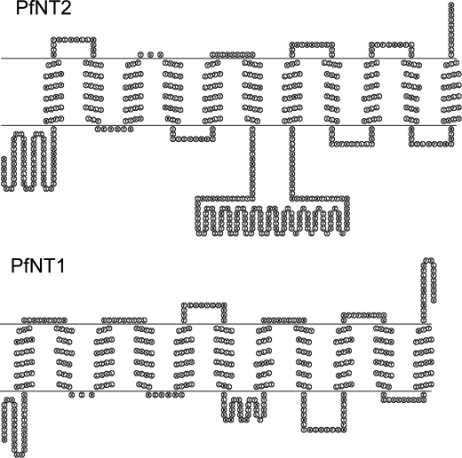 FIGURE 1.