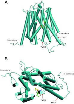 Fig. 7.