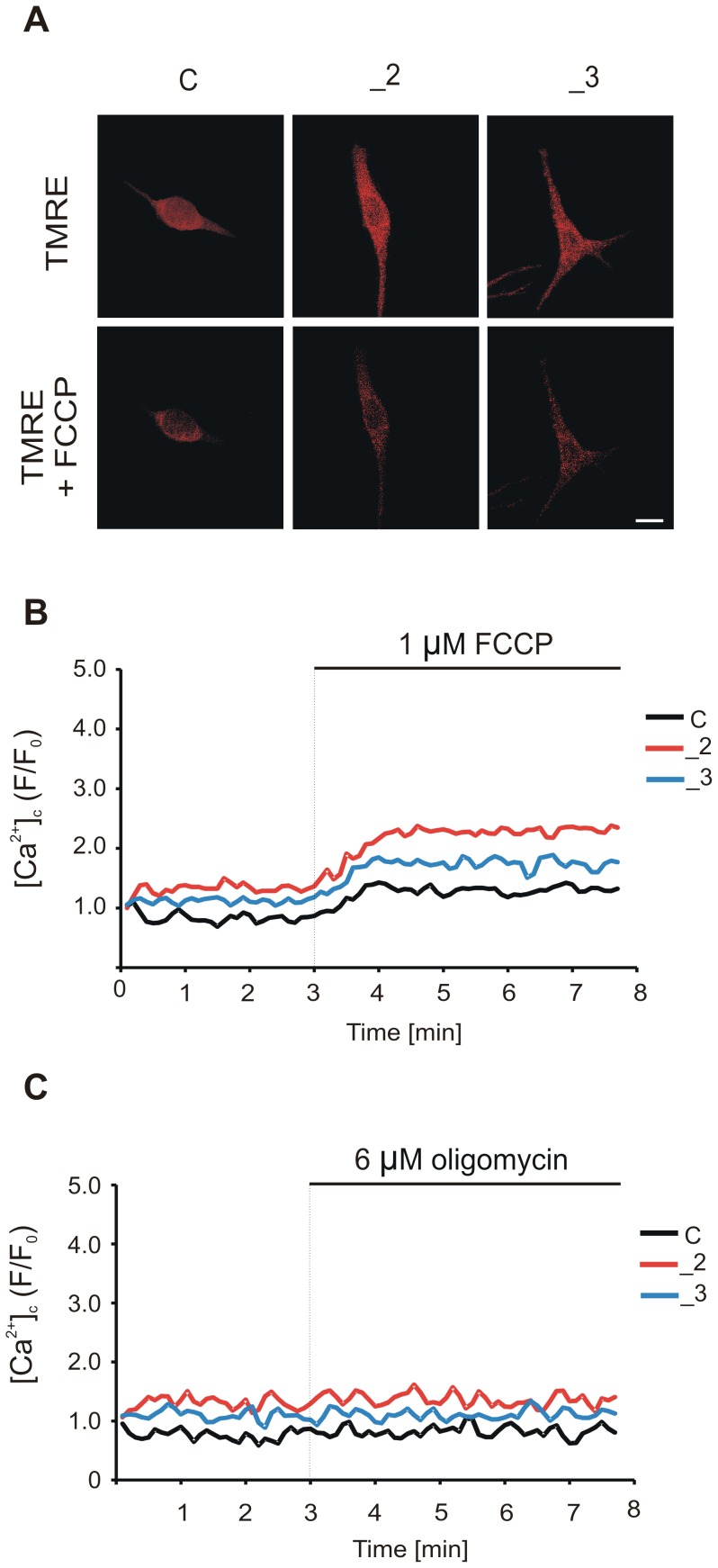 Figure 9