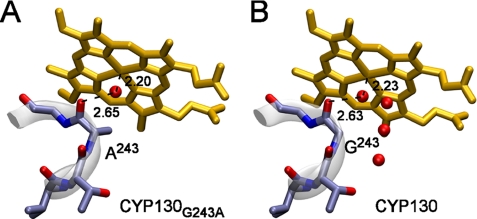 FIGURE 7.