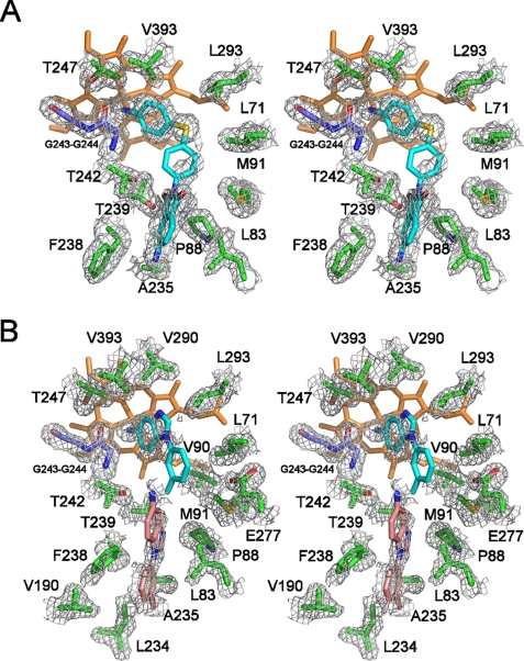 FIGURE 4.