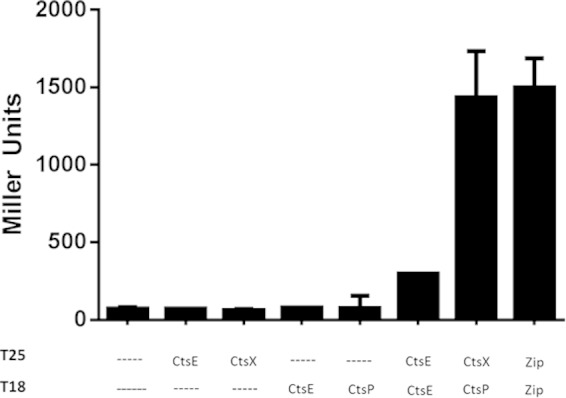 FIG 3