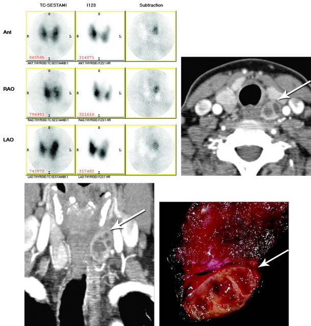 Fig 1.