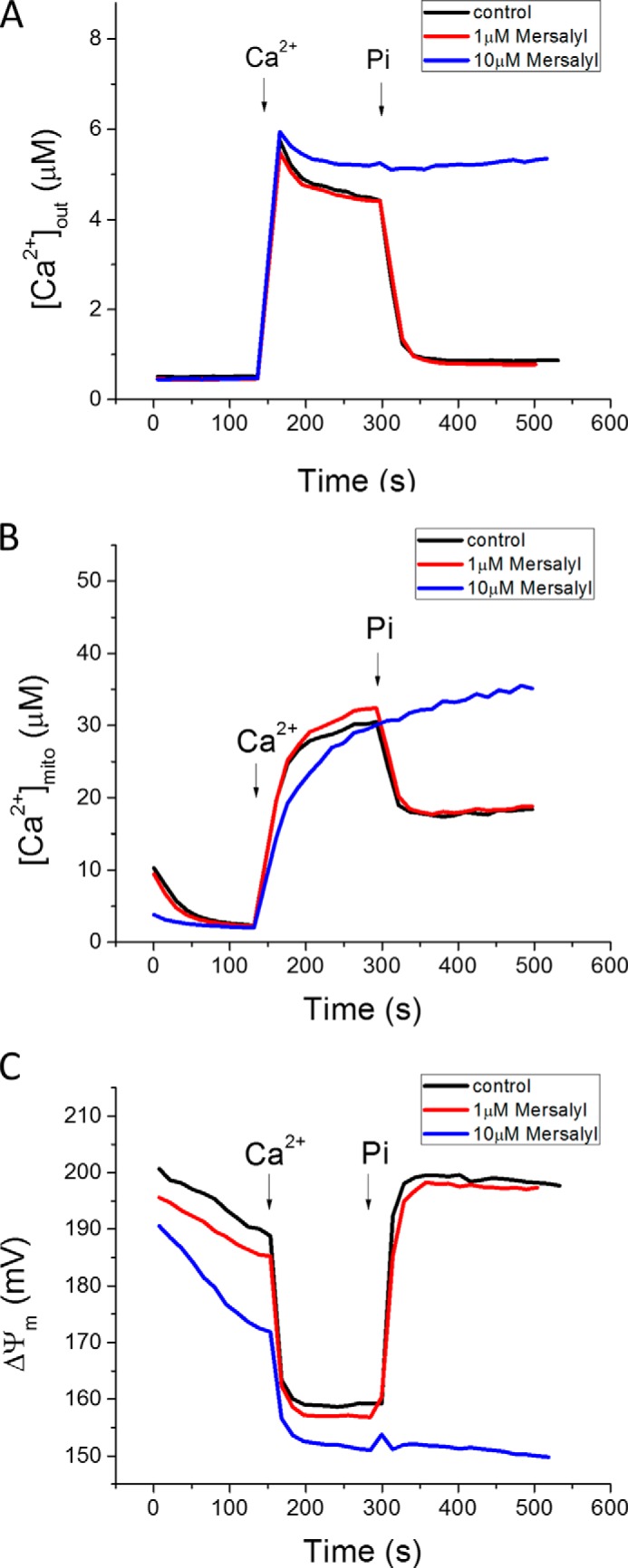 FIGURE 3.