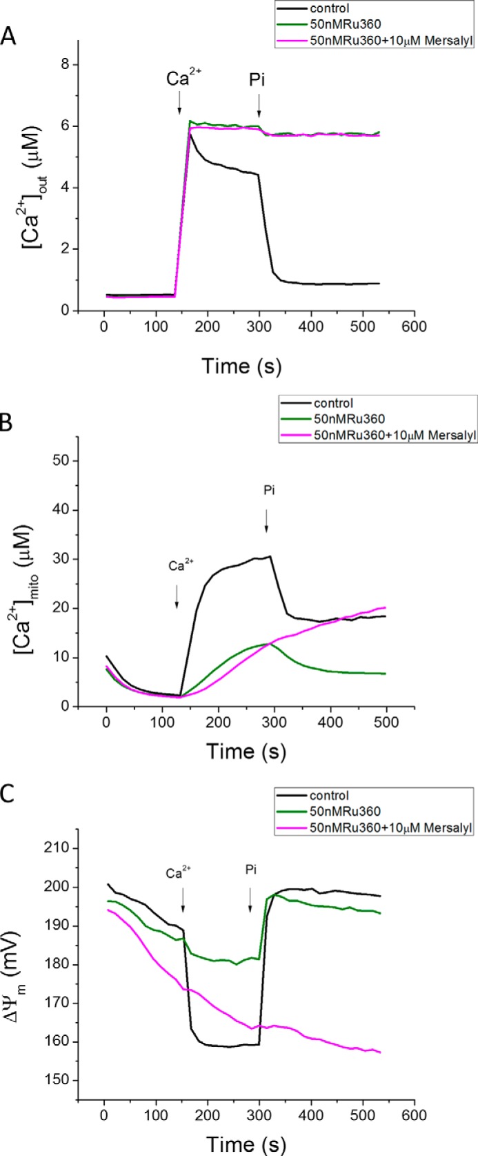 FIGURE 4.