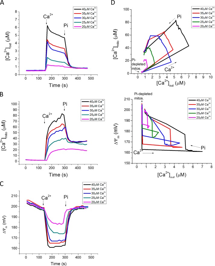 FIGURE 2.