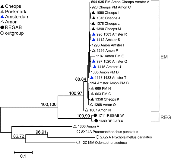 Fig. 2