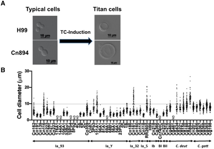 Figure 10