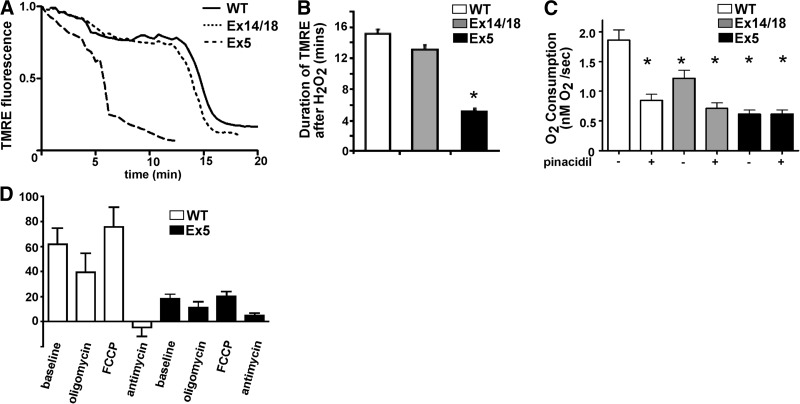 Figure 5.