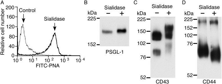 Fig. S3.