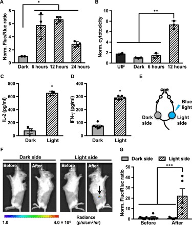 Fig. 4