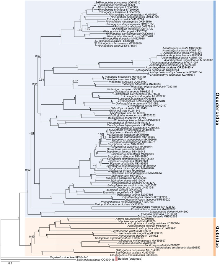 Figure 3.