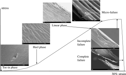 Fig. 11