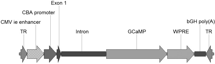 Fig. 1.