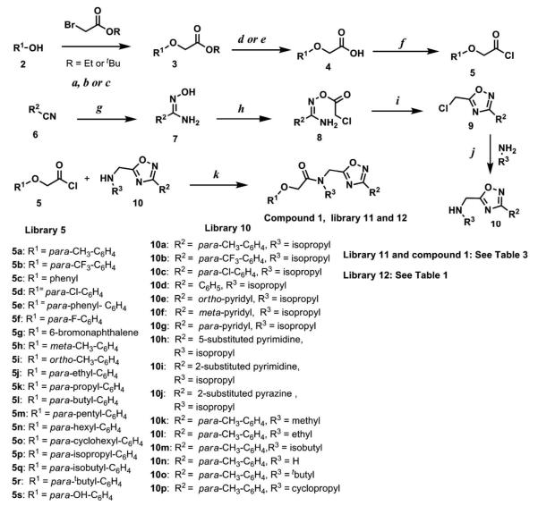 Scheme 1