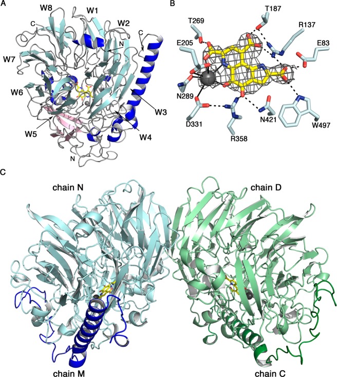 Figure 5