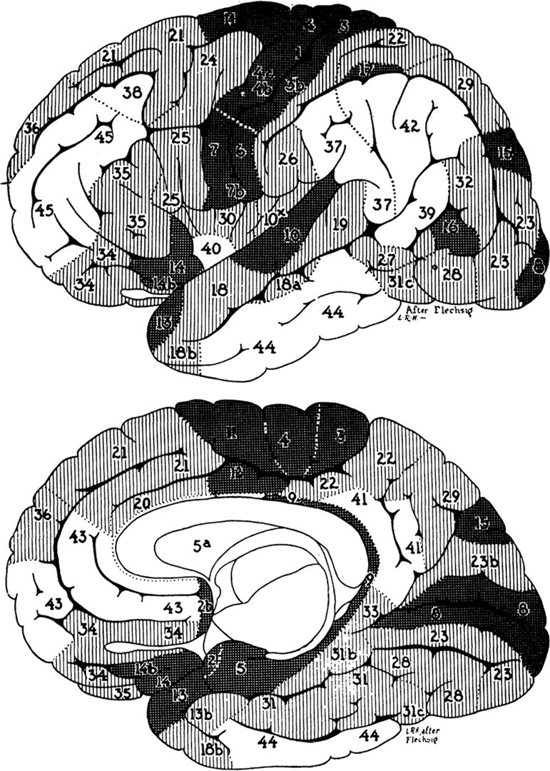 Figure 14.