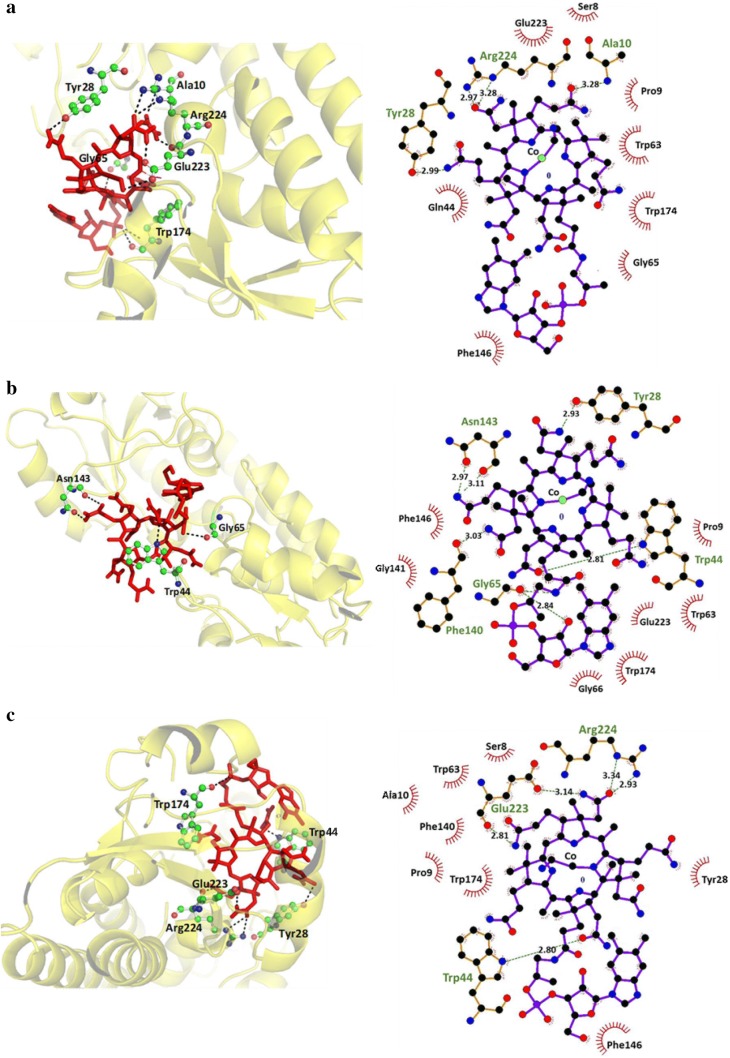 Fig. 3