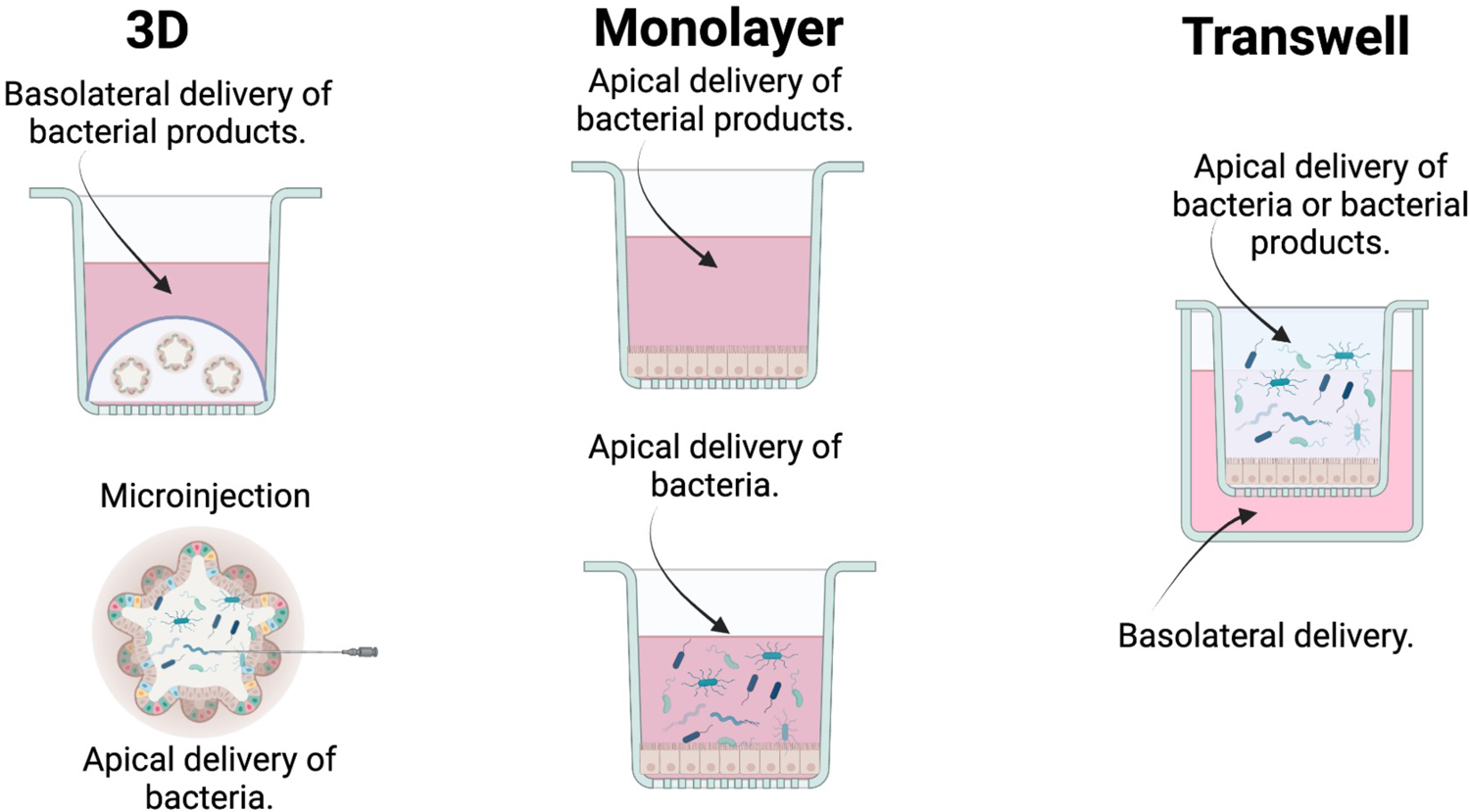 Figure 2: