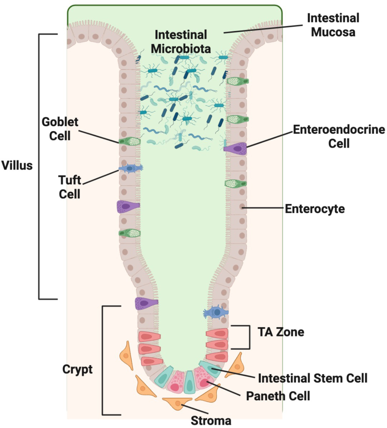 Figure 1: