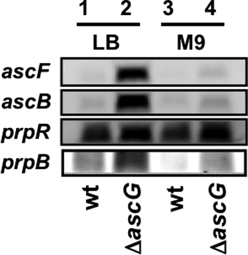 FIG. 6.