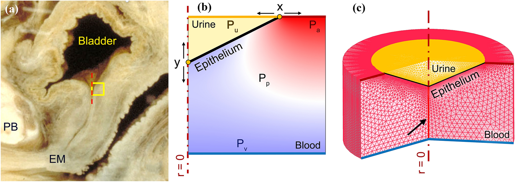 Figure 3.