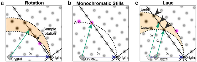 FIG. 1.