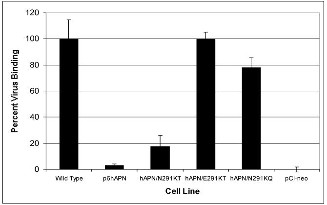 FIG. 6