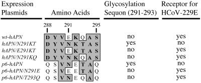 FIG. 8