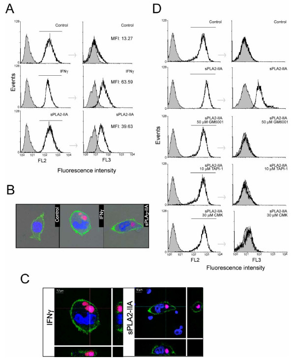 Figure 7 