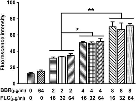 Fig 6