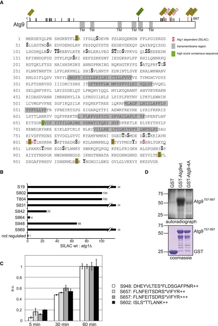 Figure 2