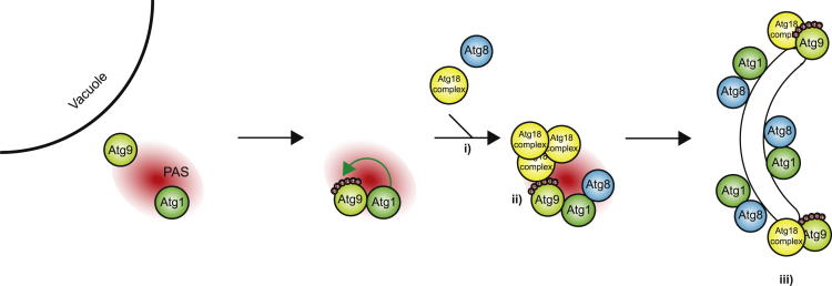 Figure 6